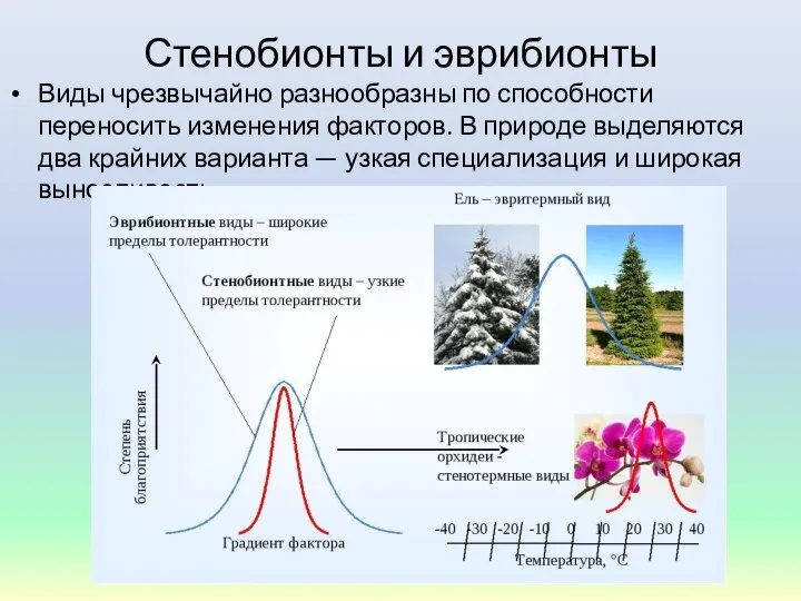 Стенобионты и эврибионты Виды чрезвычайно разнообразны по способности переносить изменения факторов.