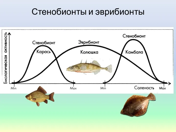 Стенобионты и эврибионты