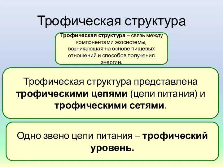 Трофическая структура Трофическая структура – связь между компонентами экосистемы, возникающая на