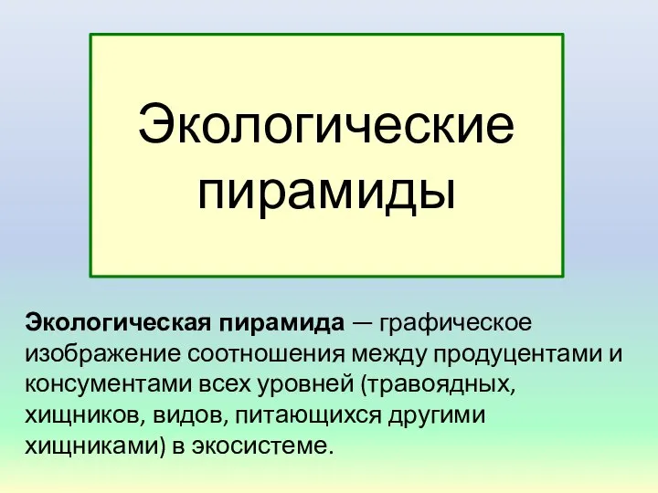 Экологические пирамиды Экологическая пирамида — графическое изображение соотношения между продуцентами и