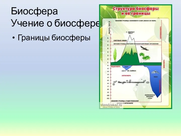 Биосфера Учение о биосфере Границы биосферы