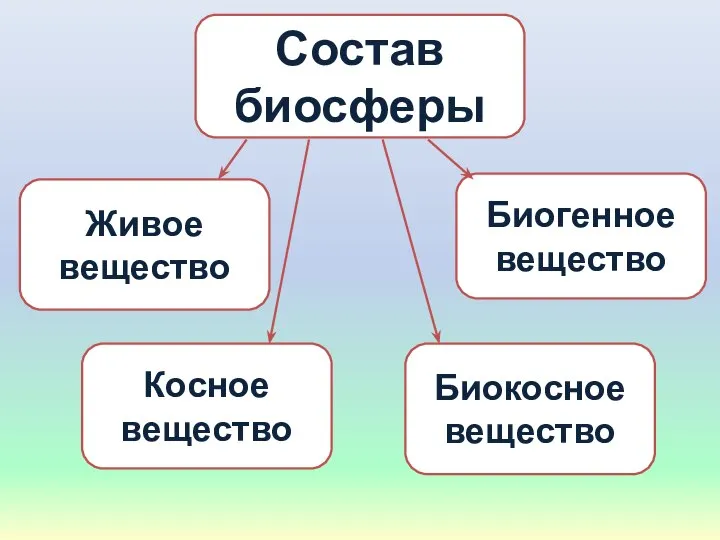 Состав биосферы Живое вещество Биогенное вещество Косное вещество Биокосное вещество