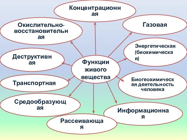 Деструктивная Биогеохимическая деятельность человека Функции живого вещества Окислительно-восстановительная Энергетическая (биохимическая) Газовая Концентрационная Информационная Рассеивающая Средообразующая Транспортная