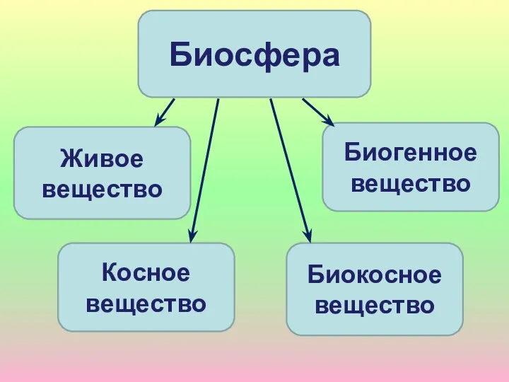 Биосфера Живое вещество Биогенное вещество Косное вещество Биокосное вещество