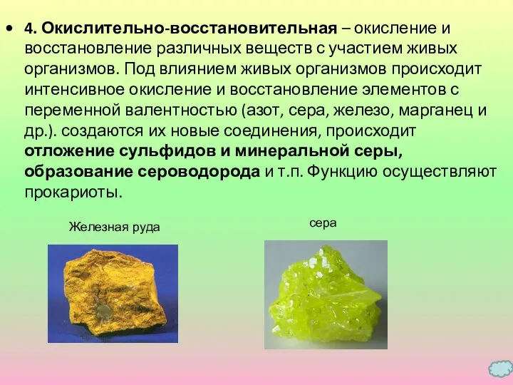 4. Окислительно-восстановительная – окисление и восстановление различных веществ с участием живых