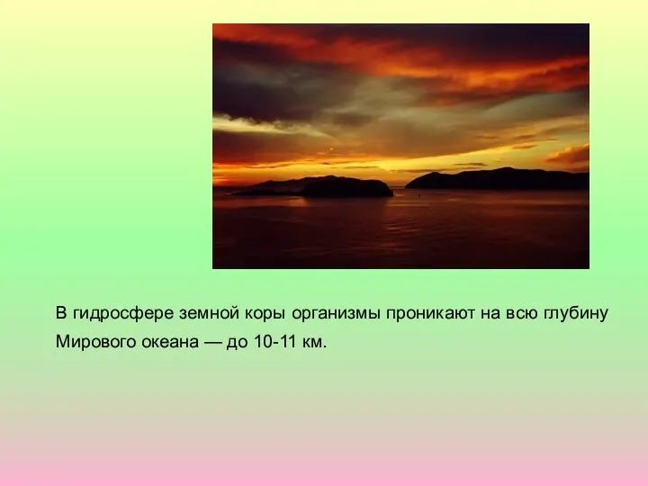 В гидросфере земной коры организмы проникают на всю глубину Мирового океана — до 10-11 км.