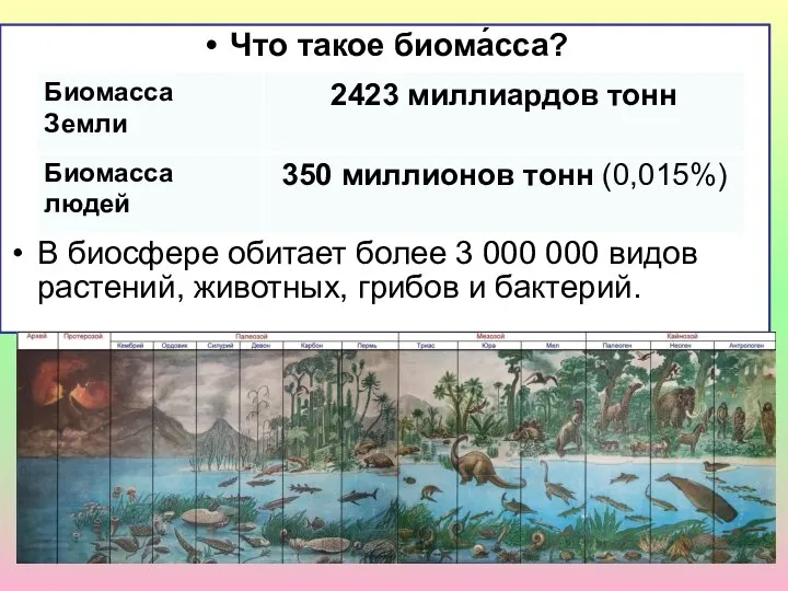 Что такое биома́сса? В биосфере обитает более 3 000 000 видов растений, животных, грибов и бактерий.