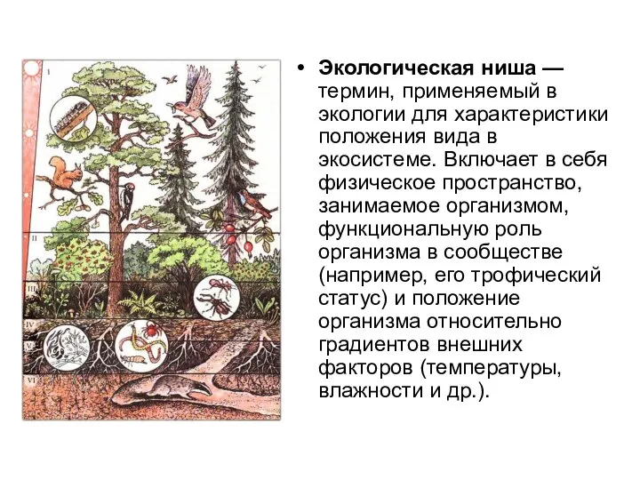 Экологическая ниша — термин, применяемый в экологии для характеристики положения вида