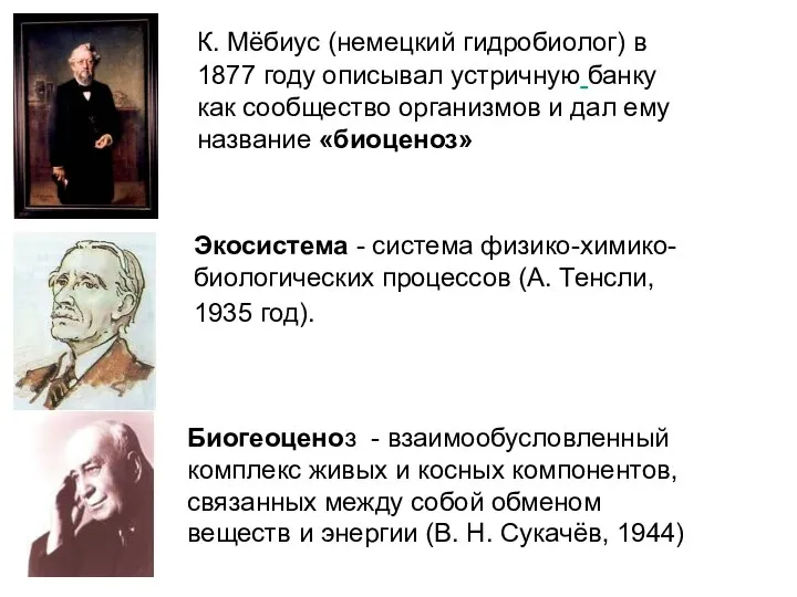 К. Мёбиус (немецкий гидробиолог) в 1877 году описывал устричную банку как