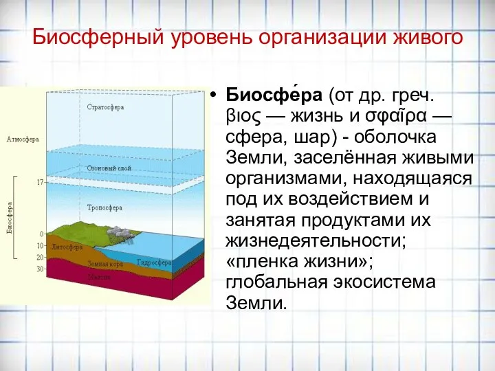 Биосферный уровень организации живого Биосфе́ра (от др. греч. βιος — жизнь