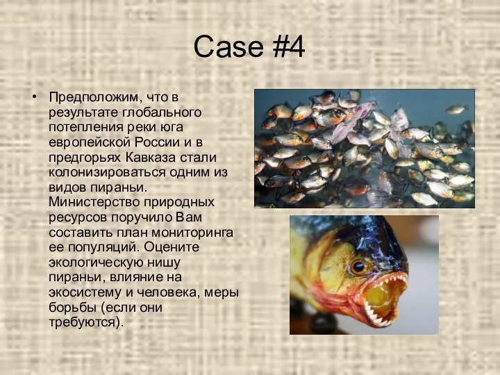 Case #4 Предположим, что в результате глобального потепления реки юга европейской