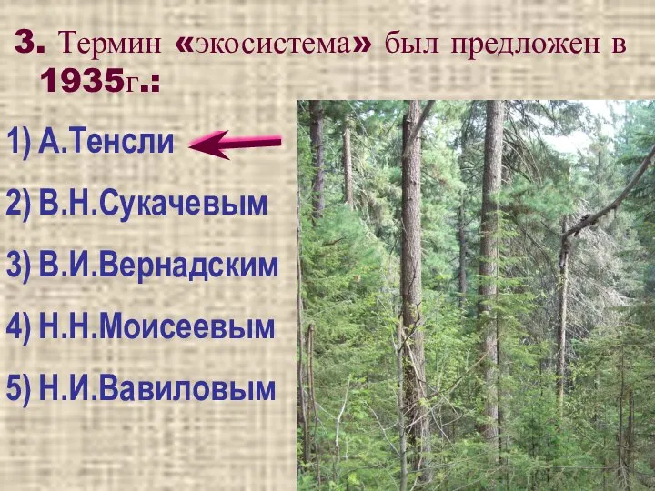 3. Термин «экосистема» был предложен в 1935г.: А.Тенсли В.Н.Сукачевым В.И.Вернадским Н.Н.Моисеевым Н.И.Вавиловым