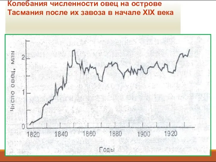 Колебания численности овец на острове Тасмания после их завоза в начале XIX века