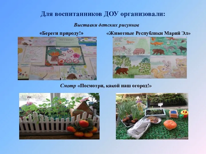 Для воспитанников ДОУ организовали: Выставки детских рисунков «Береги природу!» «Животные Республики