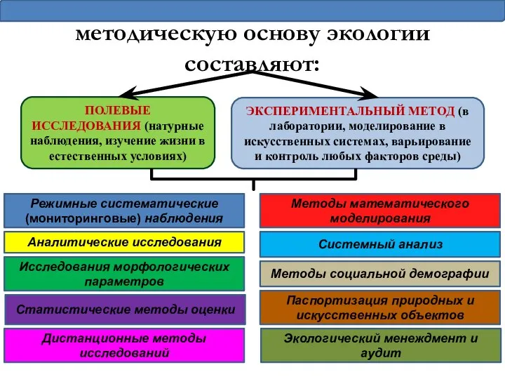 методическую основу экологии составляют: ЭКСПЕРИМЕНТАЛЬНЫЙ МЕТОД (в лаборатории, моделирование в искусственных