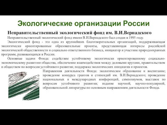 Неправительственный экологический фонд им. В.И.Вернадского Неправительственный экологический фонд имени В.И.Вернадского был