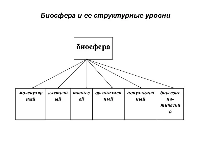 Биосфера и ее структурные уровни