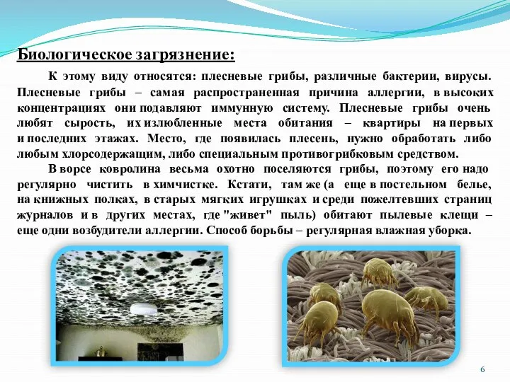 Биологическое загрязнение: К этому виду относятся: плесневые грибы, различные бактерии, вирусы.