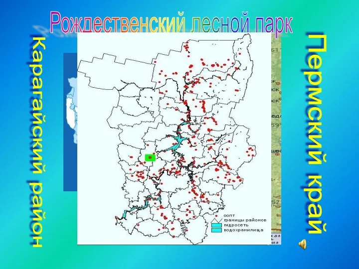 Пермский край Карагайский район Рождественский лесной парк Карагай