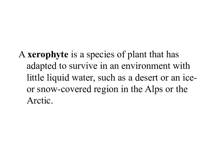 A xerophyte is a species of plant that has adapted to