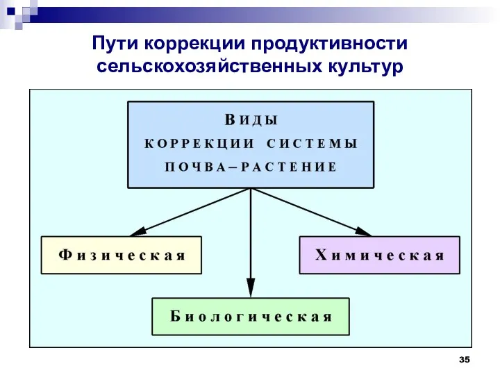 Пути коррекции продуктивности сельскохозяйственных культур