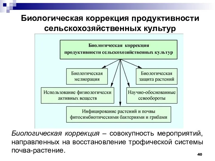 Биологическая коррекция продуктивности сельскохозяйственных культур Биологическая коррекция – совокупность мероприятий, направленных на восстановление трофической системы почва-растение.