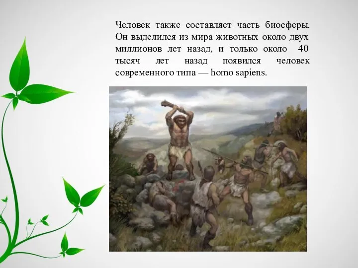 Человек также составляет часть биосферы. Он выделился из мира животных около