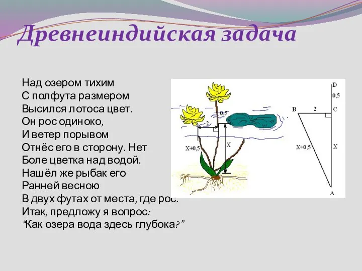 Древнеиндийская задача Над озером тихим С полфута размером Высился лотоса цвет.