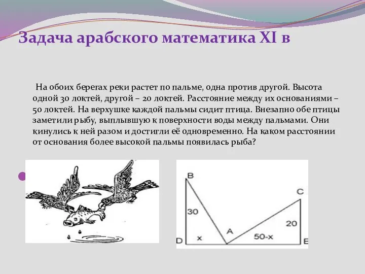 Задача арабского математика XI в На обоих берегах реки растет по