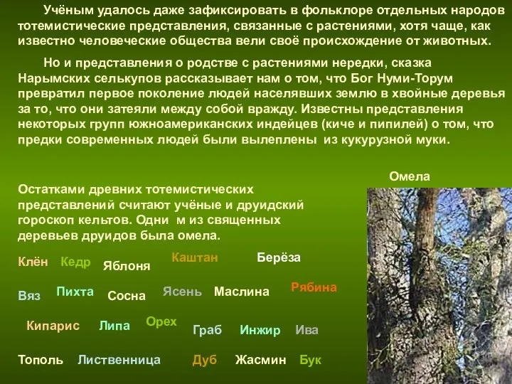 Учёным удалось даже зафиксировать в фольклоре отдельных народов тотемистические представления, связанные