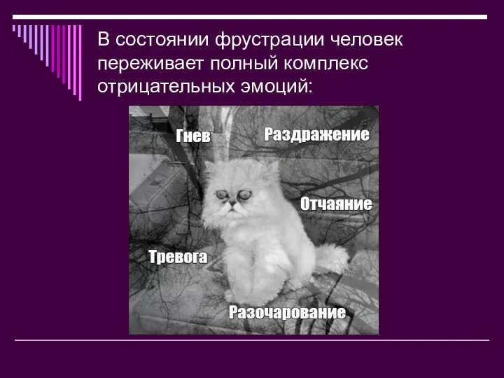 В состоянии фрустрации человек переживает полный комплекс отрицательных эмоций: