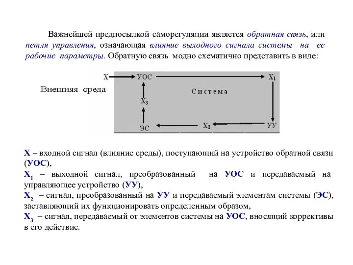 Важнейшей предпосылкой саморегуляции является обратная связь, или петля управления, означающая влияние