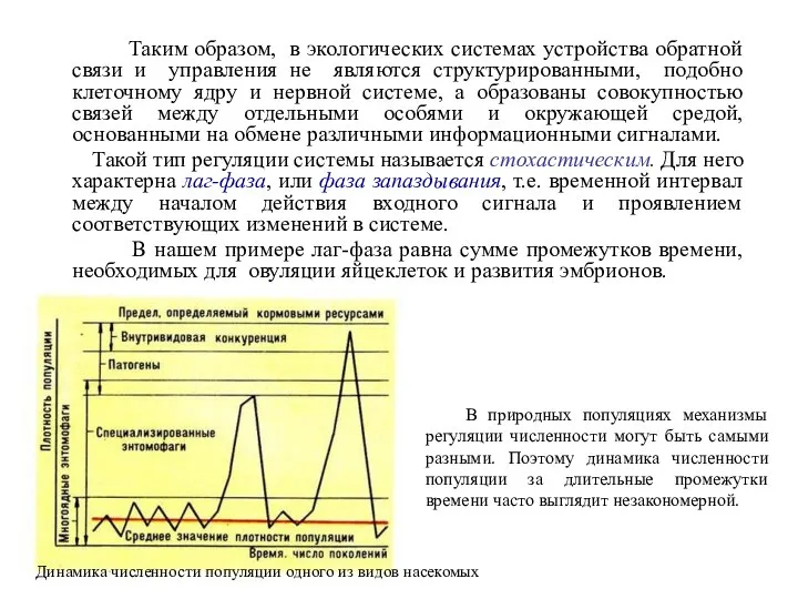 Таким образом, в экологических системах устройства обратной связи и управления не