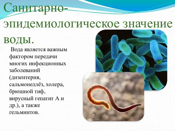 Санитарно-эпидемиологическое значение воды. Вода является важным фактором передачи многих инфекционных заболеваний