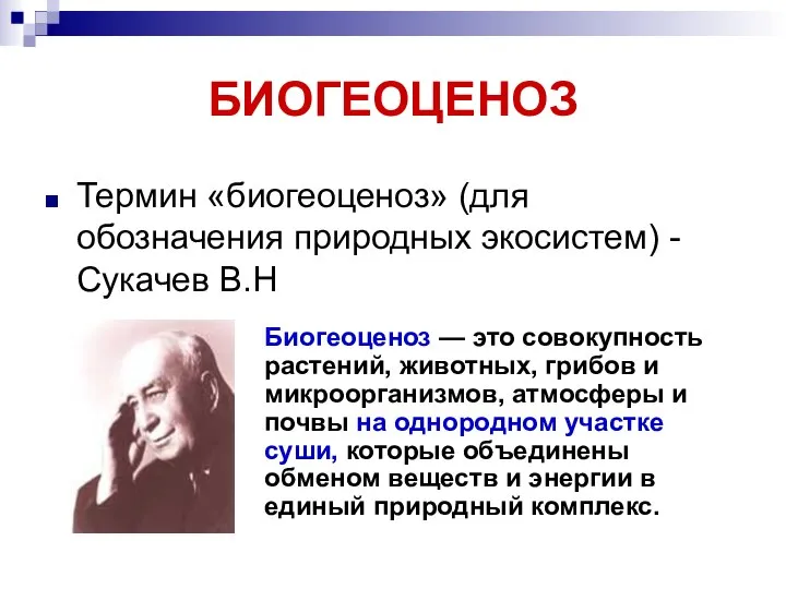 БИОГЕОЦЕНОЗ Термин «биогеоценоз» (для обозначения природных экосистем) - Сукачев В.Н Биогеоценоз