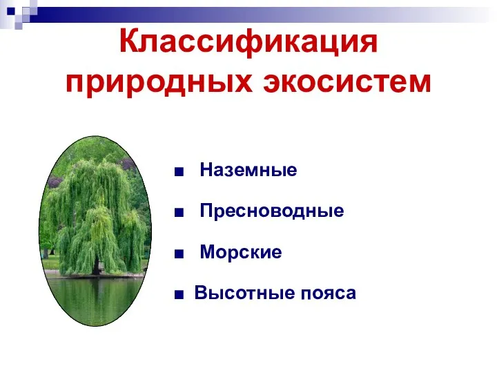 Наземные Пресноводные Морские Высотные пояса Классификация природных экосистем