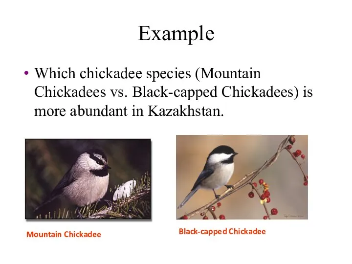 Example Which chickadee species (Mountain Chickadees vs. Black-capped Chickadees) is more