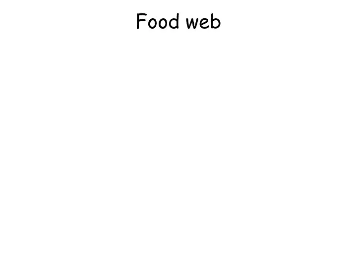 Food web