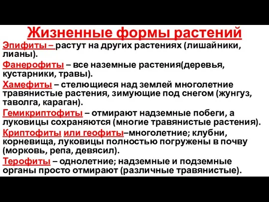 Жизненные формы растений Эпифиты – растут на других растениях (лишайники, лианы).