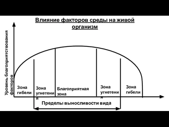 Уровень благоприятствования факторов Влияние факторов среды на живой организм Зона гибели