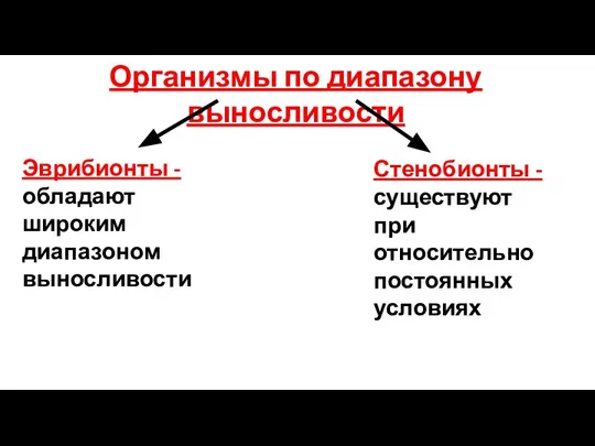 Организмы по диапазону выносливости Эврибионты - обладают широким диапазоном выносливости Стенобионты