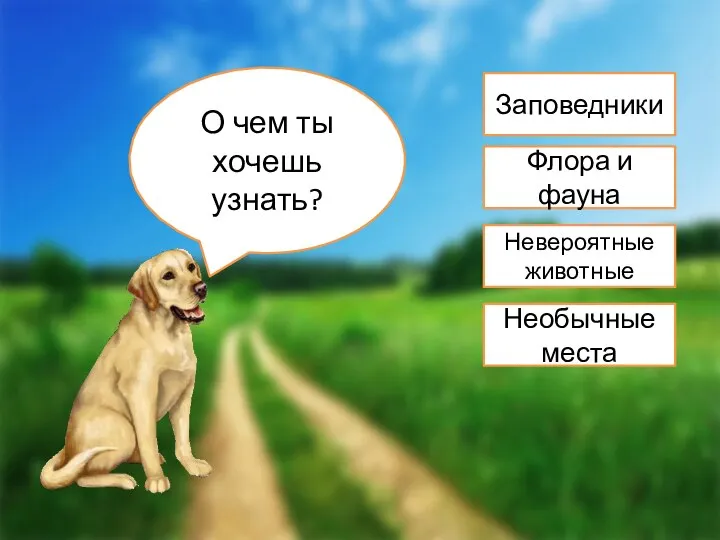 О чем ты хочешь узнать? Заповедники Флора и фауна Невероятные животные Необычные места