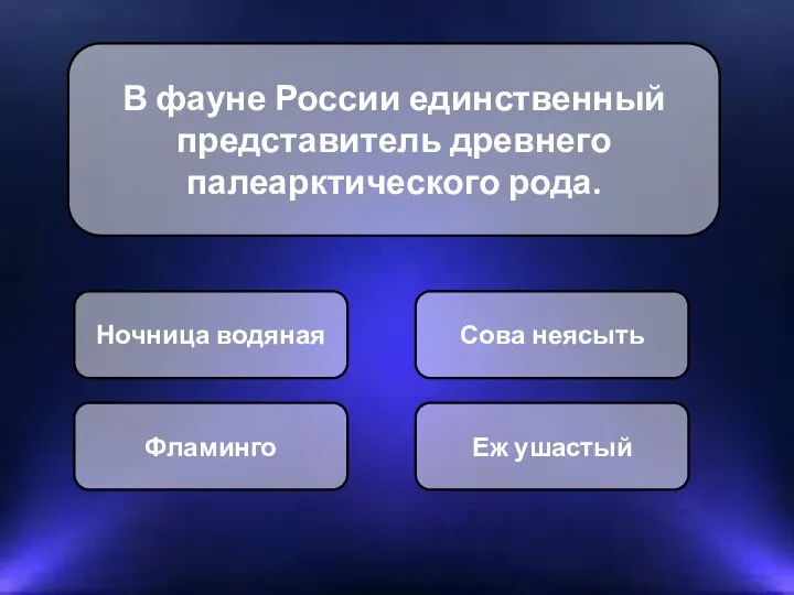 В фауне России единственный представитель древнего палеарктического рода. Ночница водяная Сова неясыть Фламинго Еж ушастый