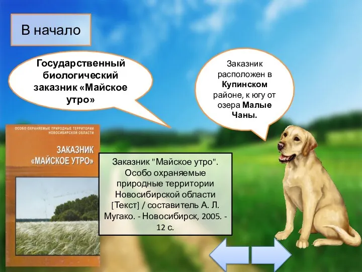 Заказник "Майское утро". Особо охраняемые природные территории Новосибирской области [Текст] /