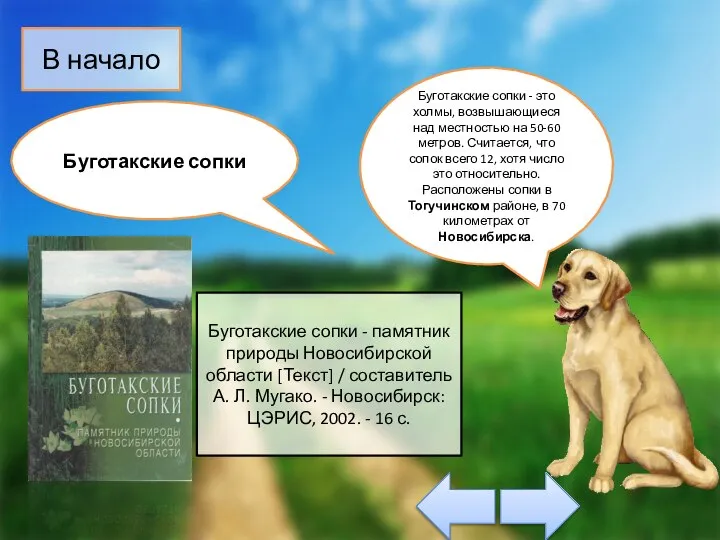 Буготакские сопки - памятник природы Новосибирской области [Текст] / составитель А.