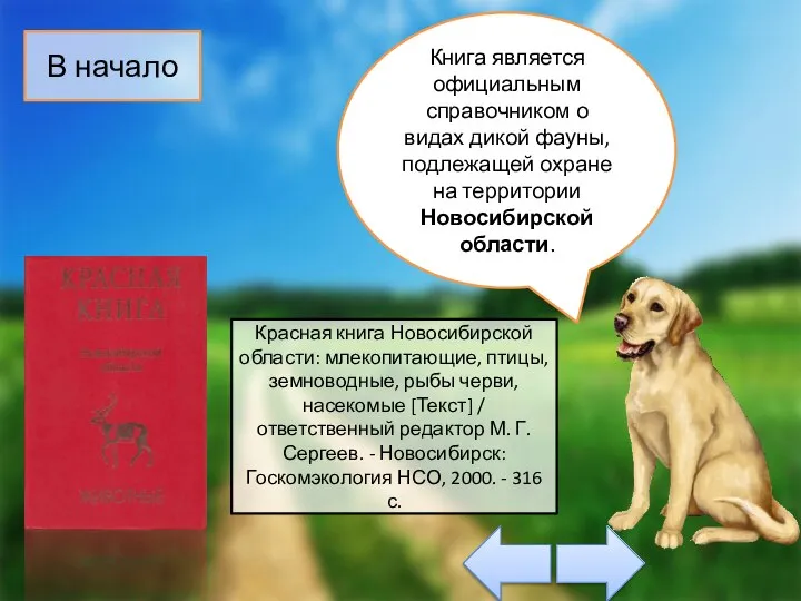 Красная книга Новосибирской области: млекопитающие, птицы, земноводные, рыбы черви, насекомые [Текст]