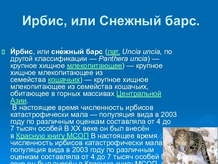 Ирбис, или Снежный барс. И́рбис, или сне́жный барс (лат. Uncia uncia,