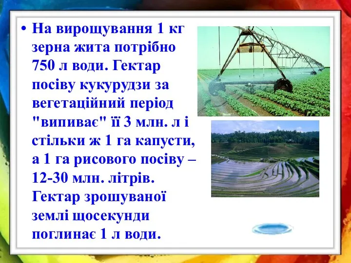 На вирощування 1 кг зерна жита потрібно 750 л води. Гектар