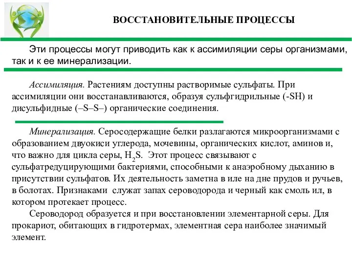 Эти процессы могут приводить как к ассимиляции серы организмами, так и