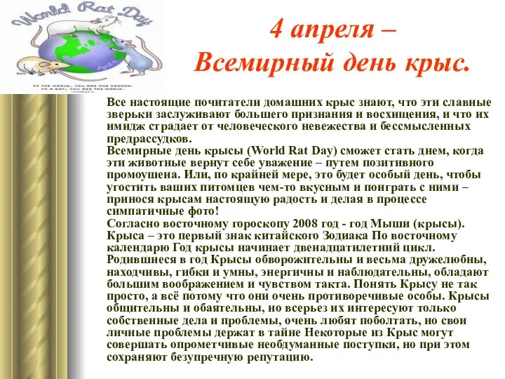 4 апреля – Всемирный день крыс. Все настоящие почитатели домашних крыс